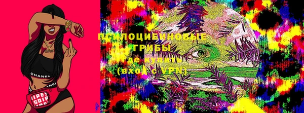 мескалин Арсеньев