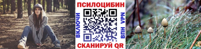 Псилоцибиновые грибы мицелий  Бугульма 